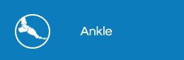 ankle2